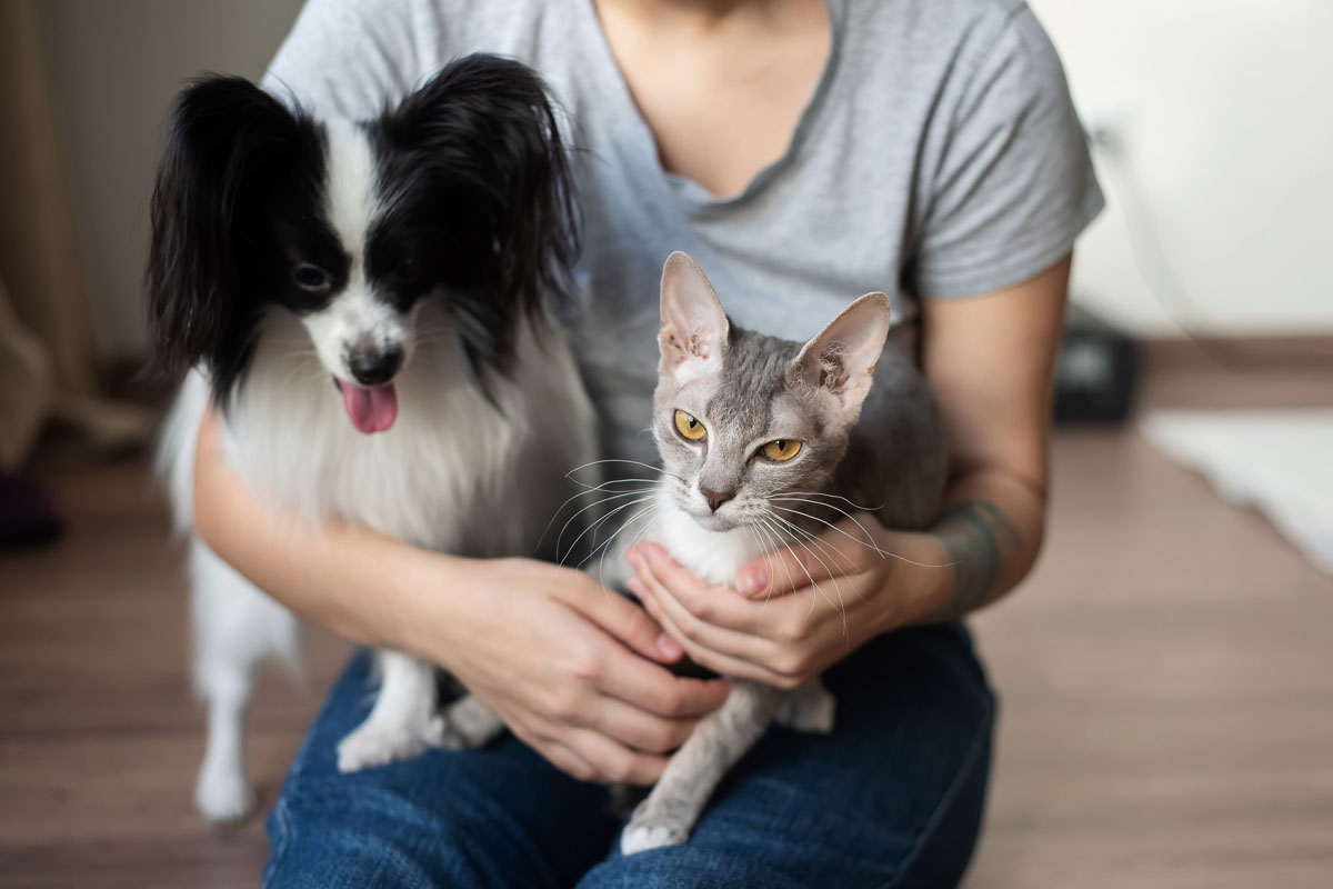 woman-holding-pets